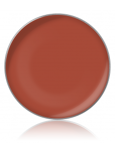 Lip gloss color №47 (lip gloss in refills), diam. 26 cm